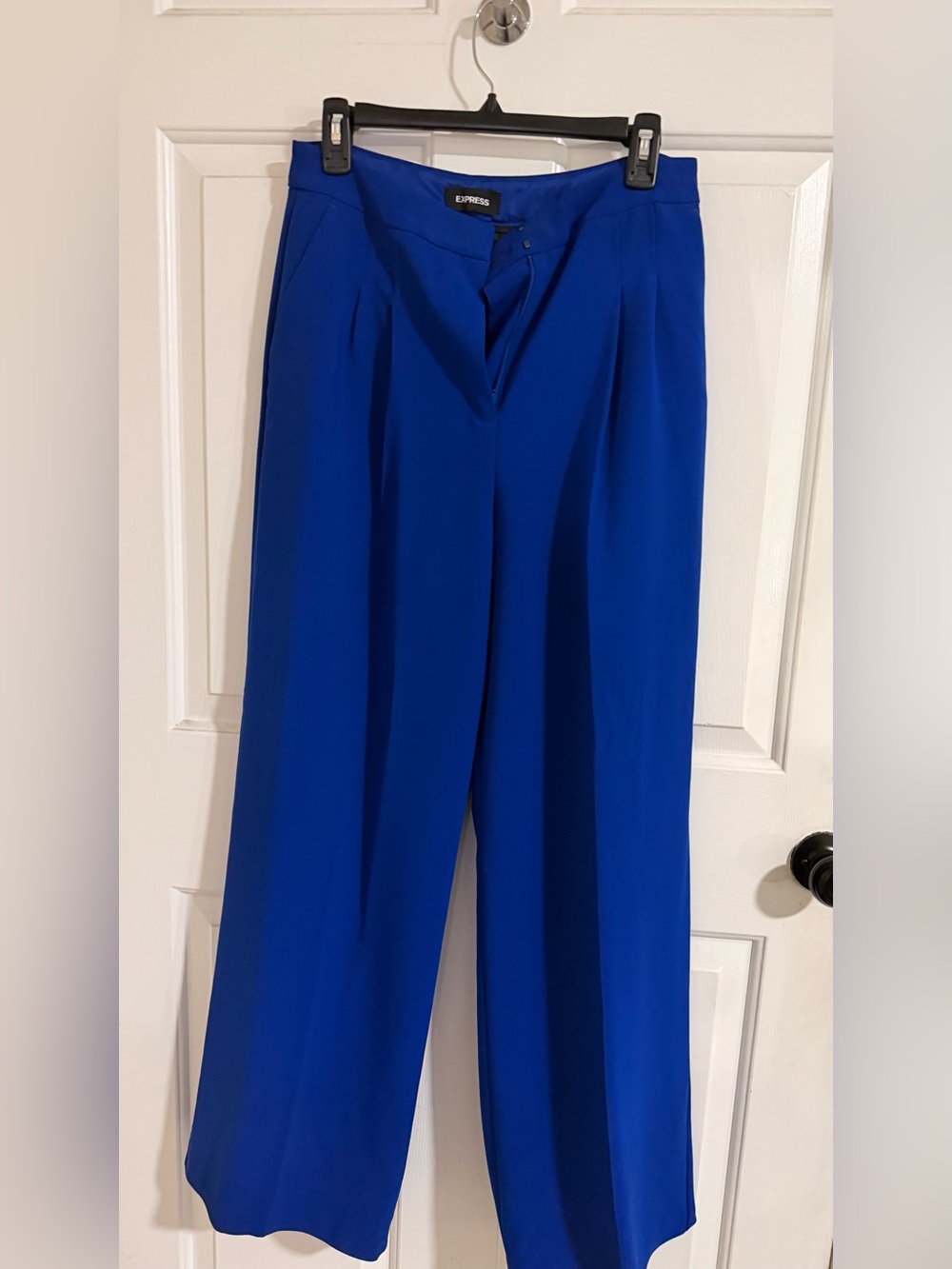 Express Wide Leg Pants in Royal Blue